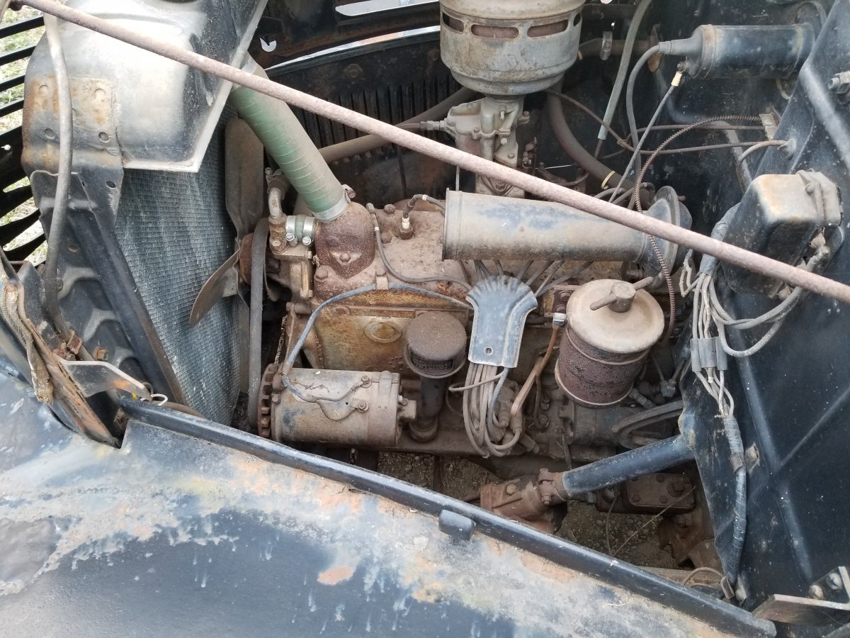 20180408_074249.jpg