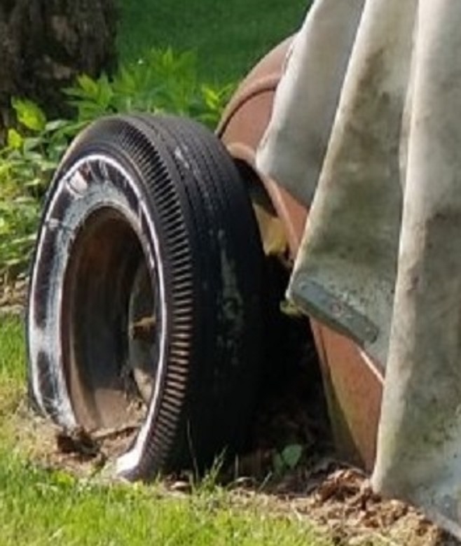 20180515_104213.jpg