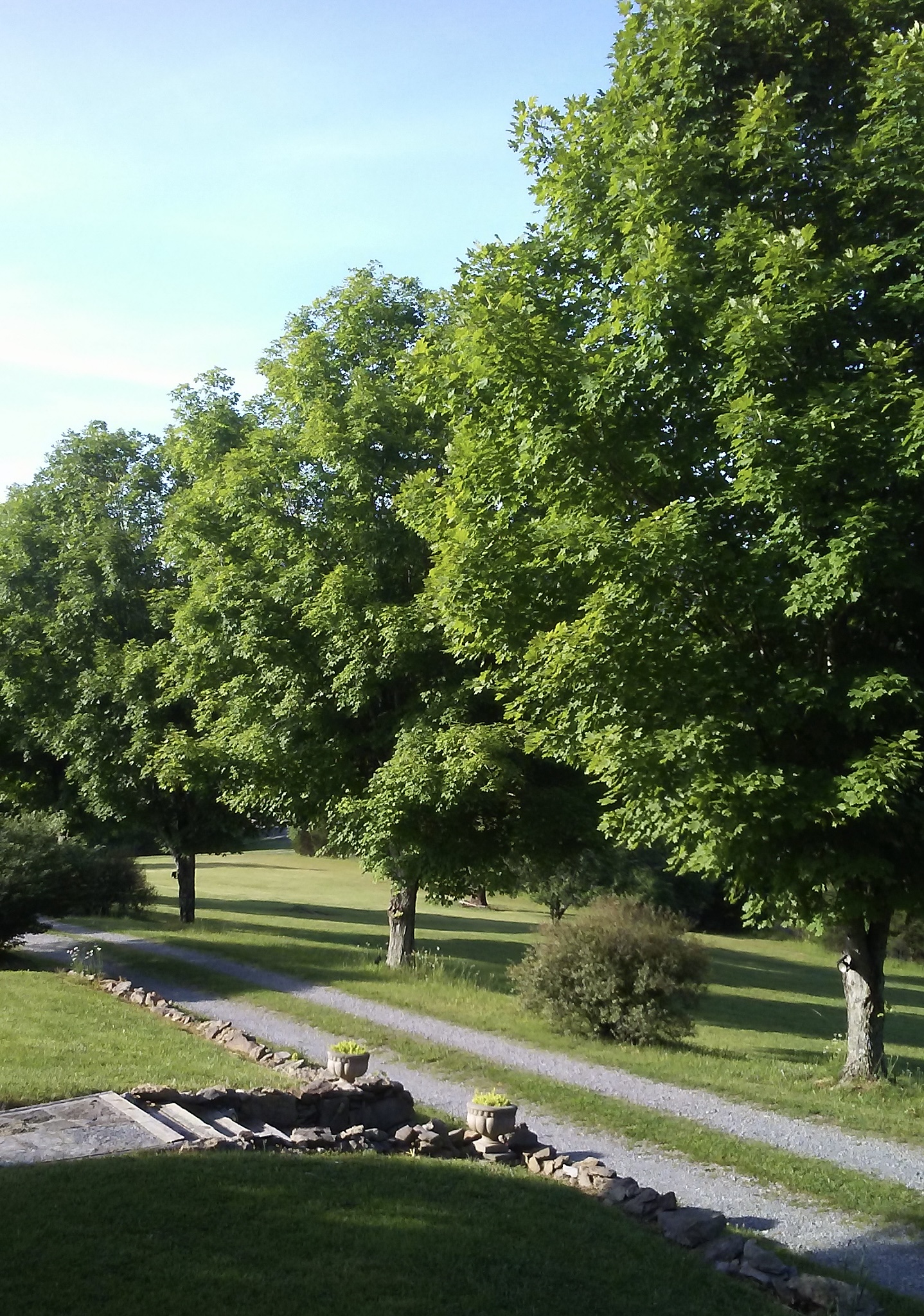 20180607_084106.jpeg