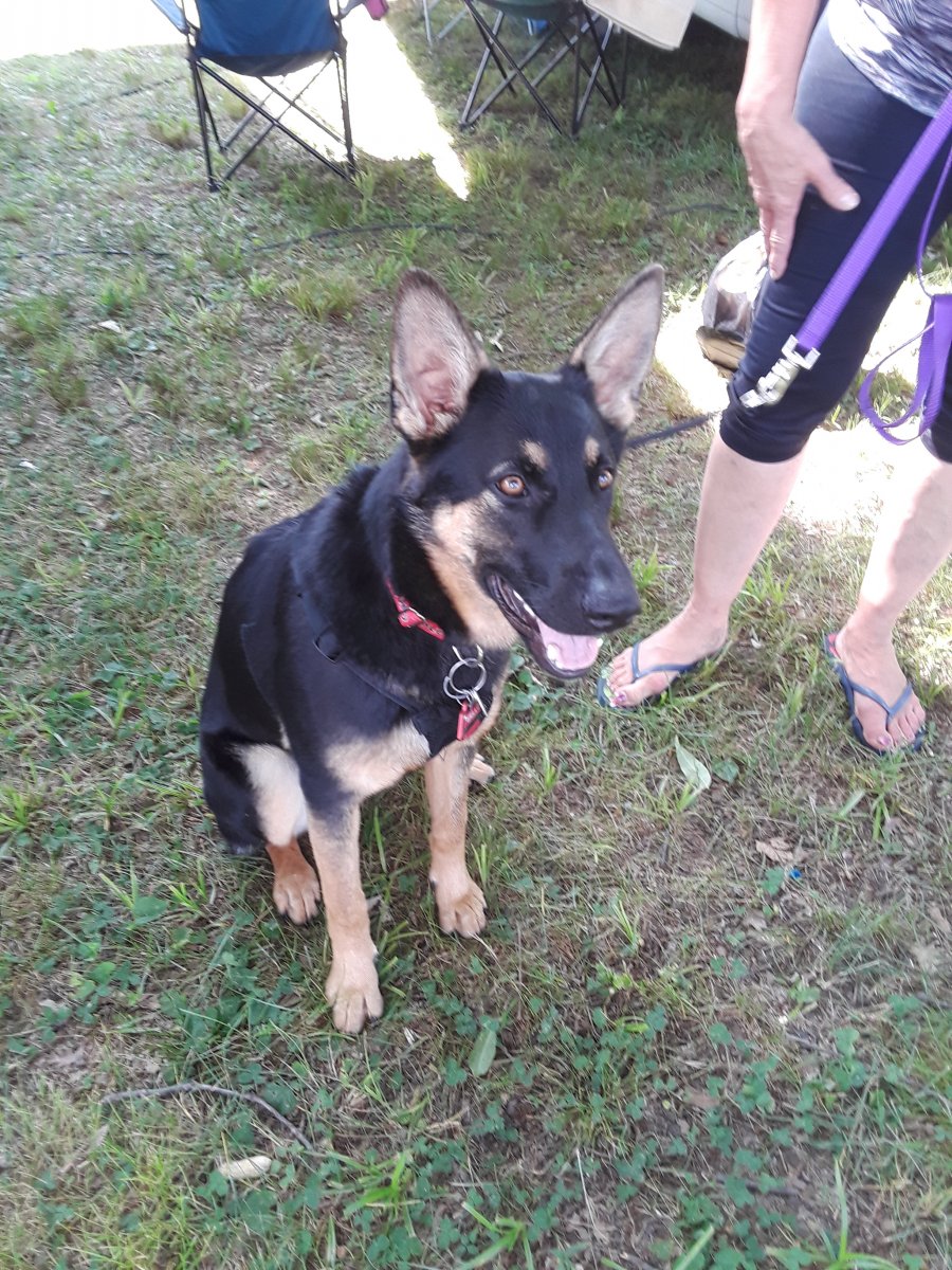 20180614_161455.jpg