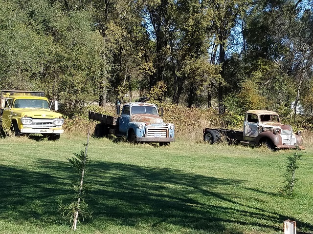 20181018_112815.jpg