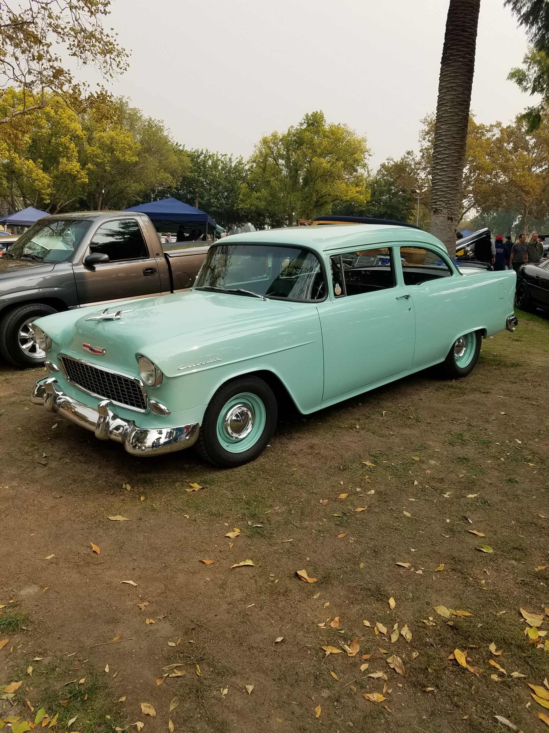 20181110_125027.jpg