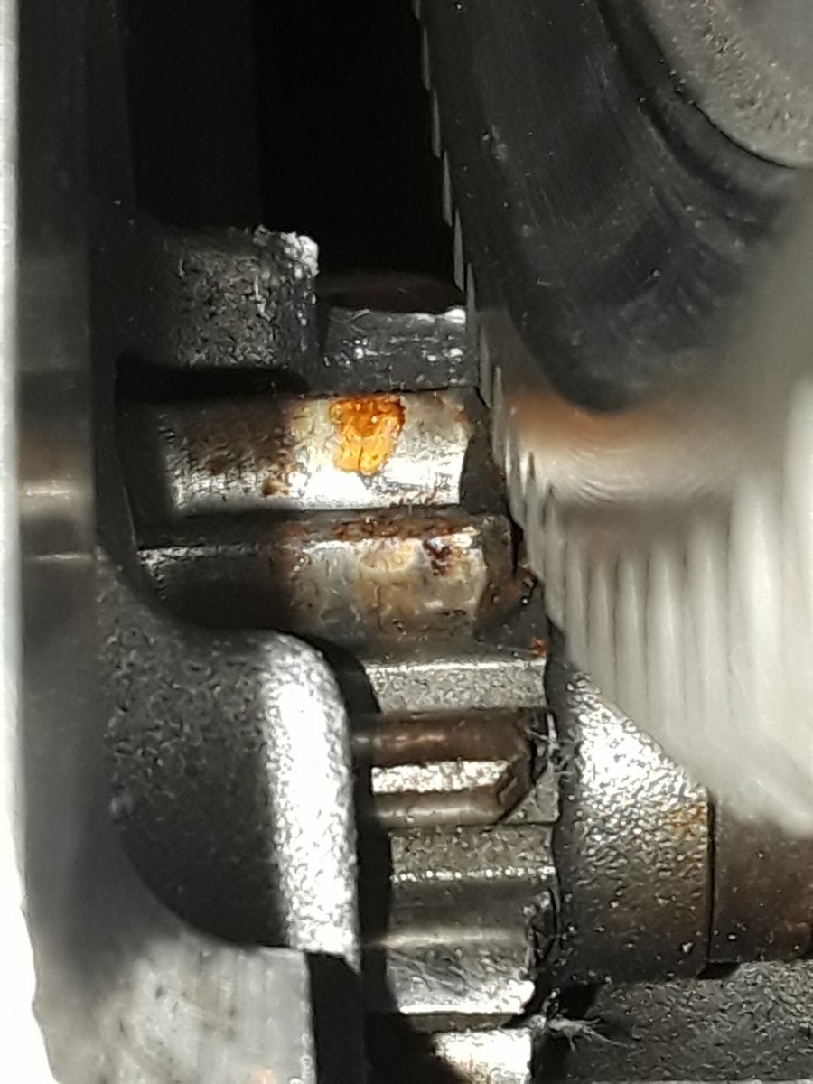 20190204_115358.jpg