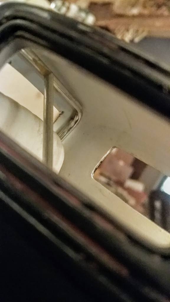 20190301_121444.jpeg