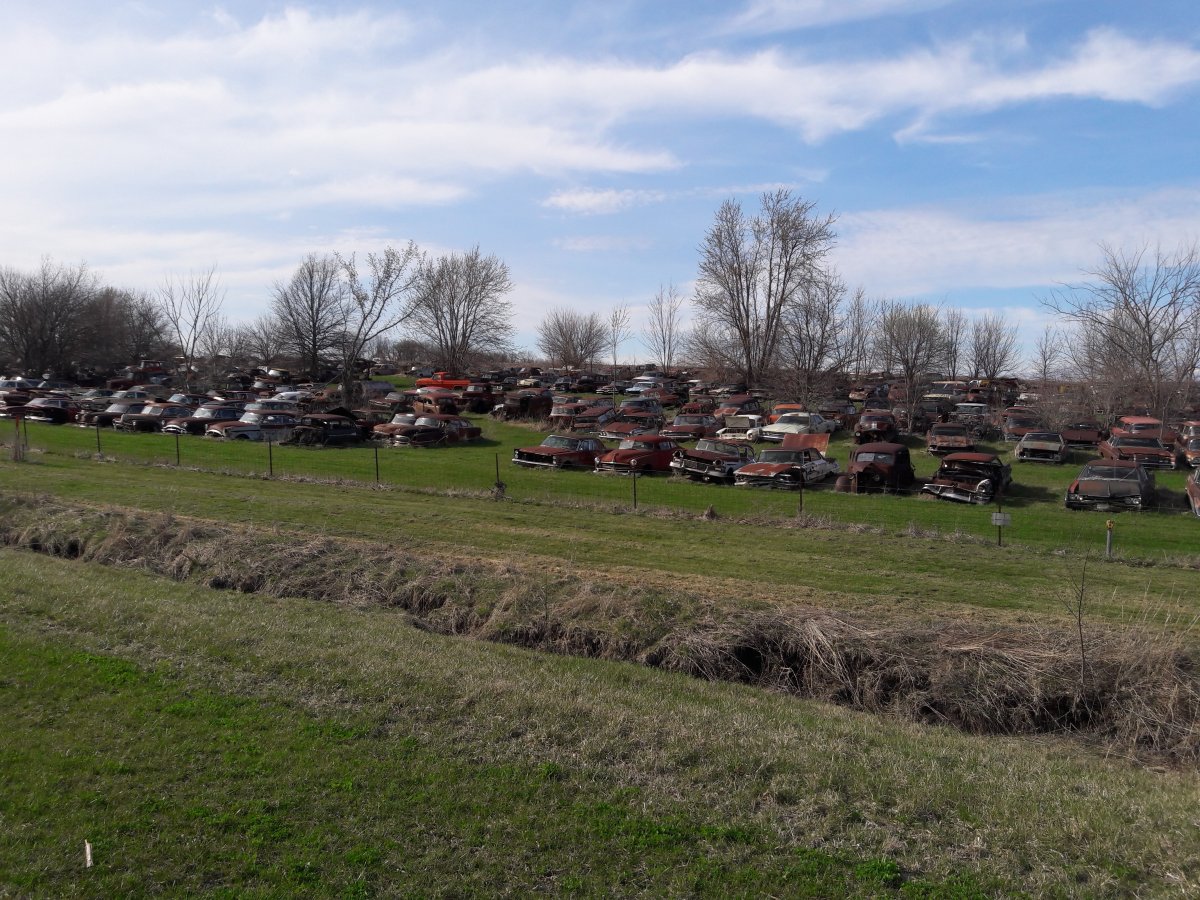 20190406_165106.jpg