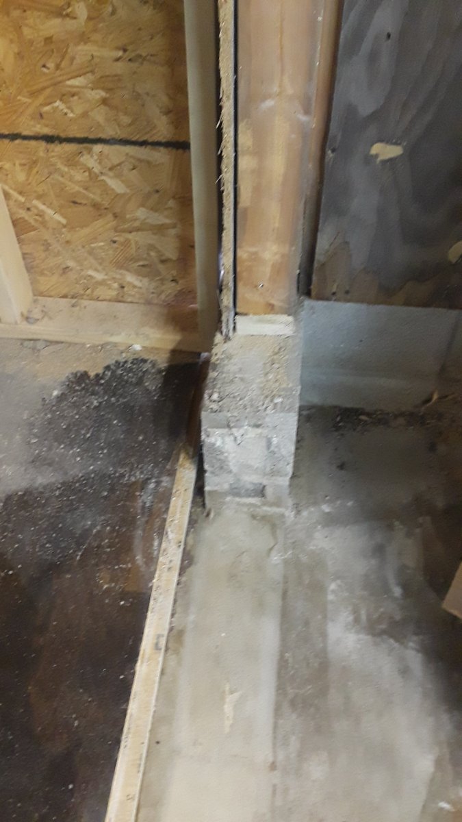 20190410_135125.jpg