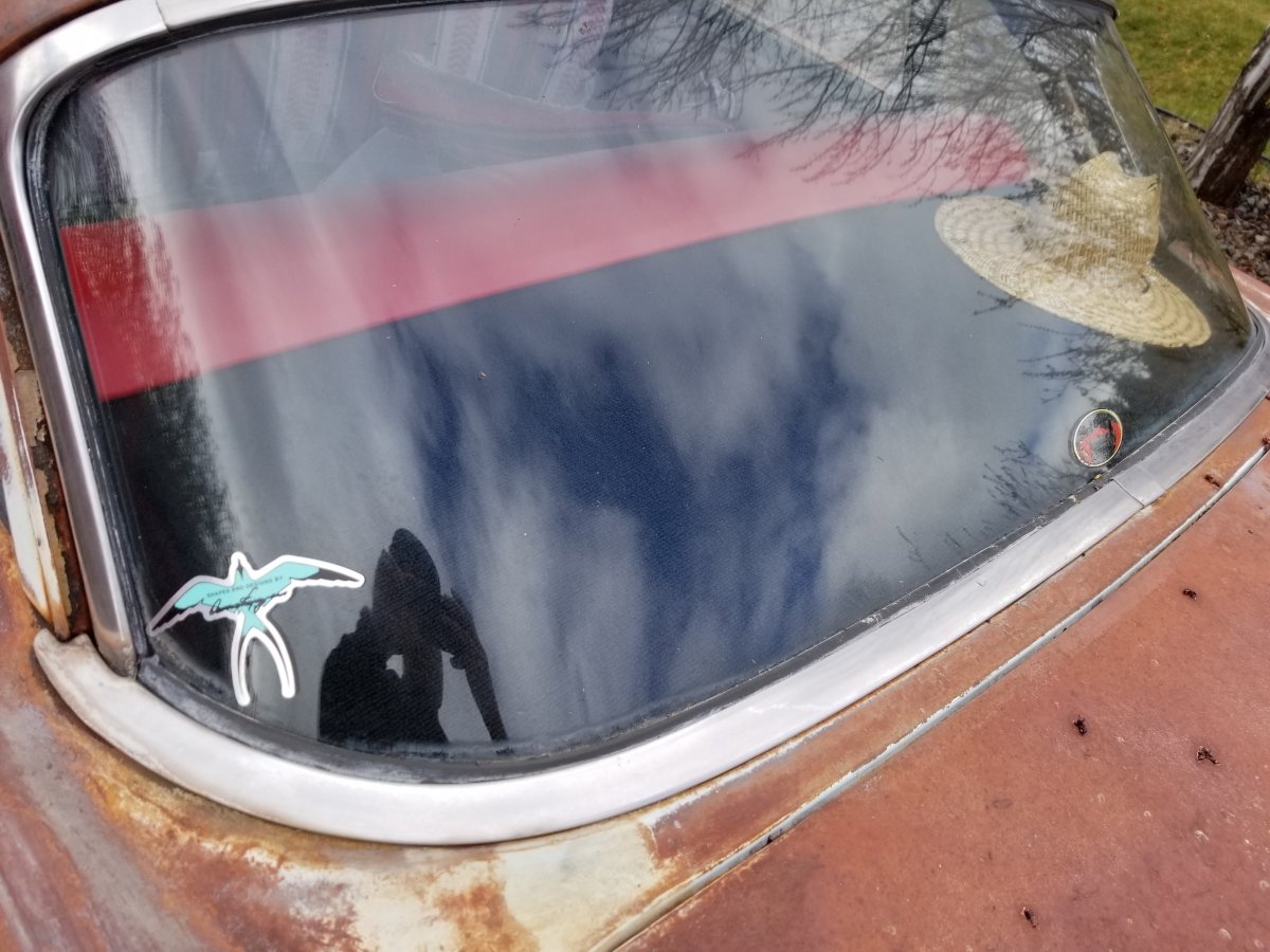 20190430_092307.jpg