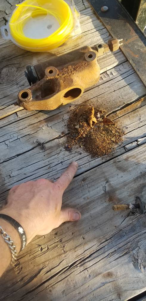 20190603_194142.jpeg