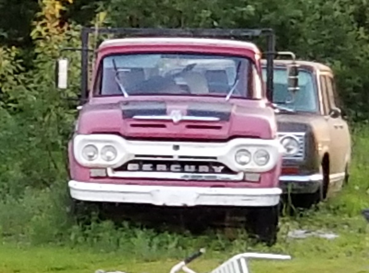 20190623_030443.jpg