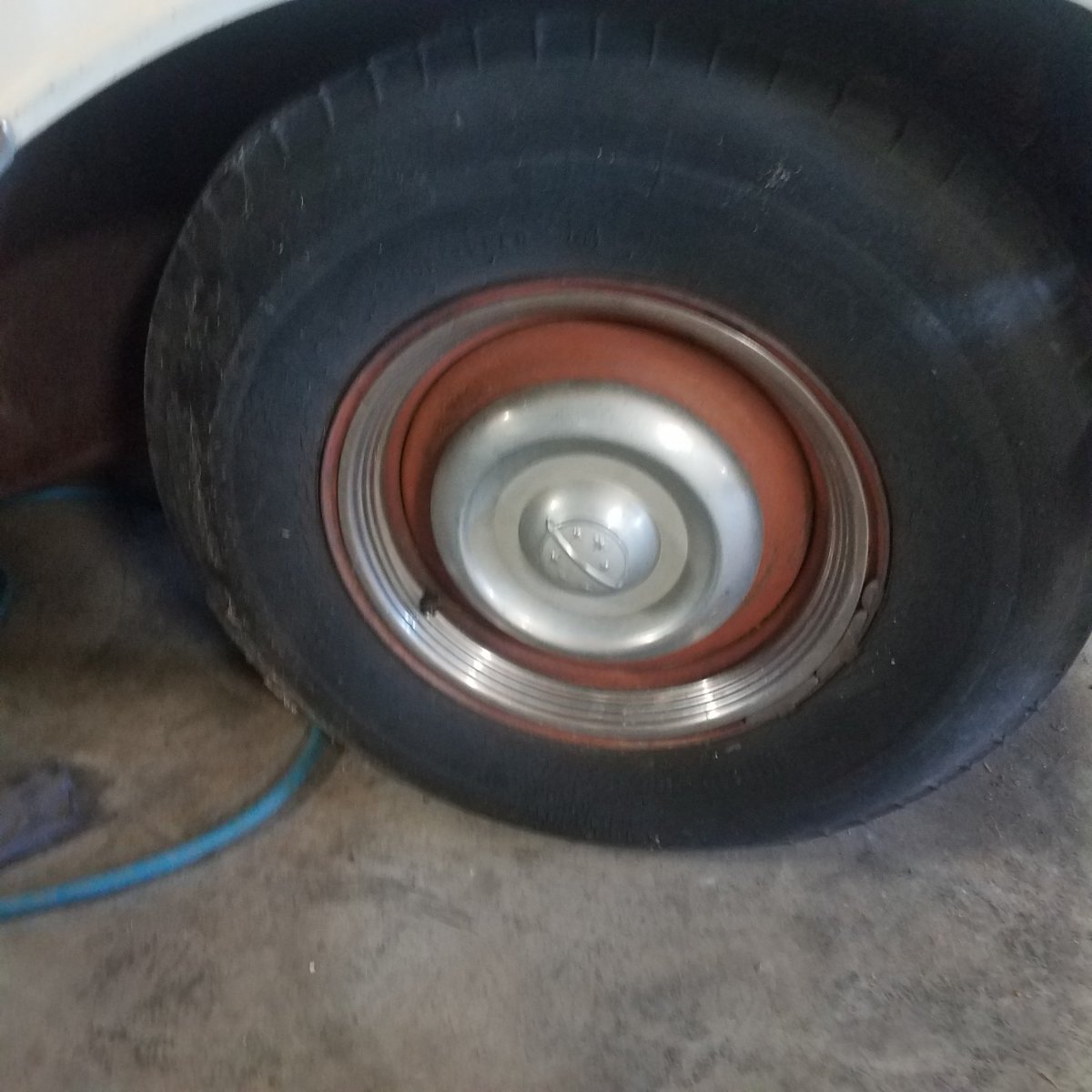 20190804_123517.jpg