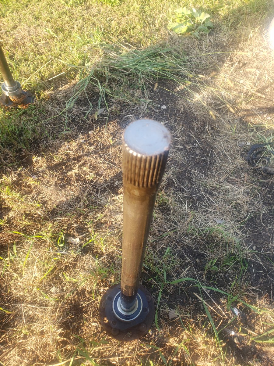 20190915_173253.jpg