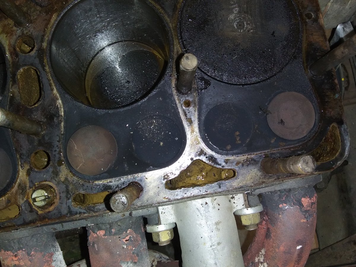20200910_174429.jpg