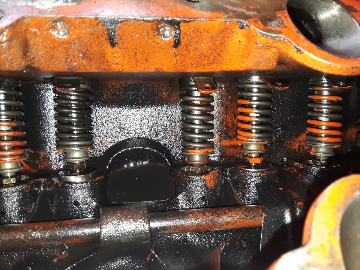 20201015_113555.jpg