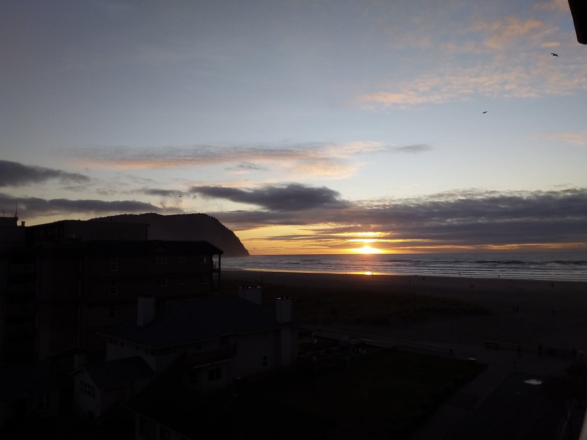 20201111_164155.jpg