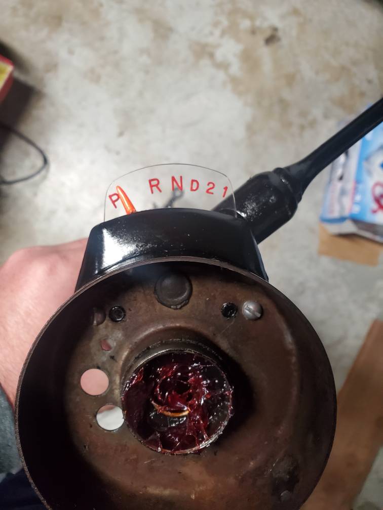 20210216_170021.jpeg