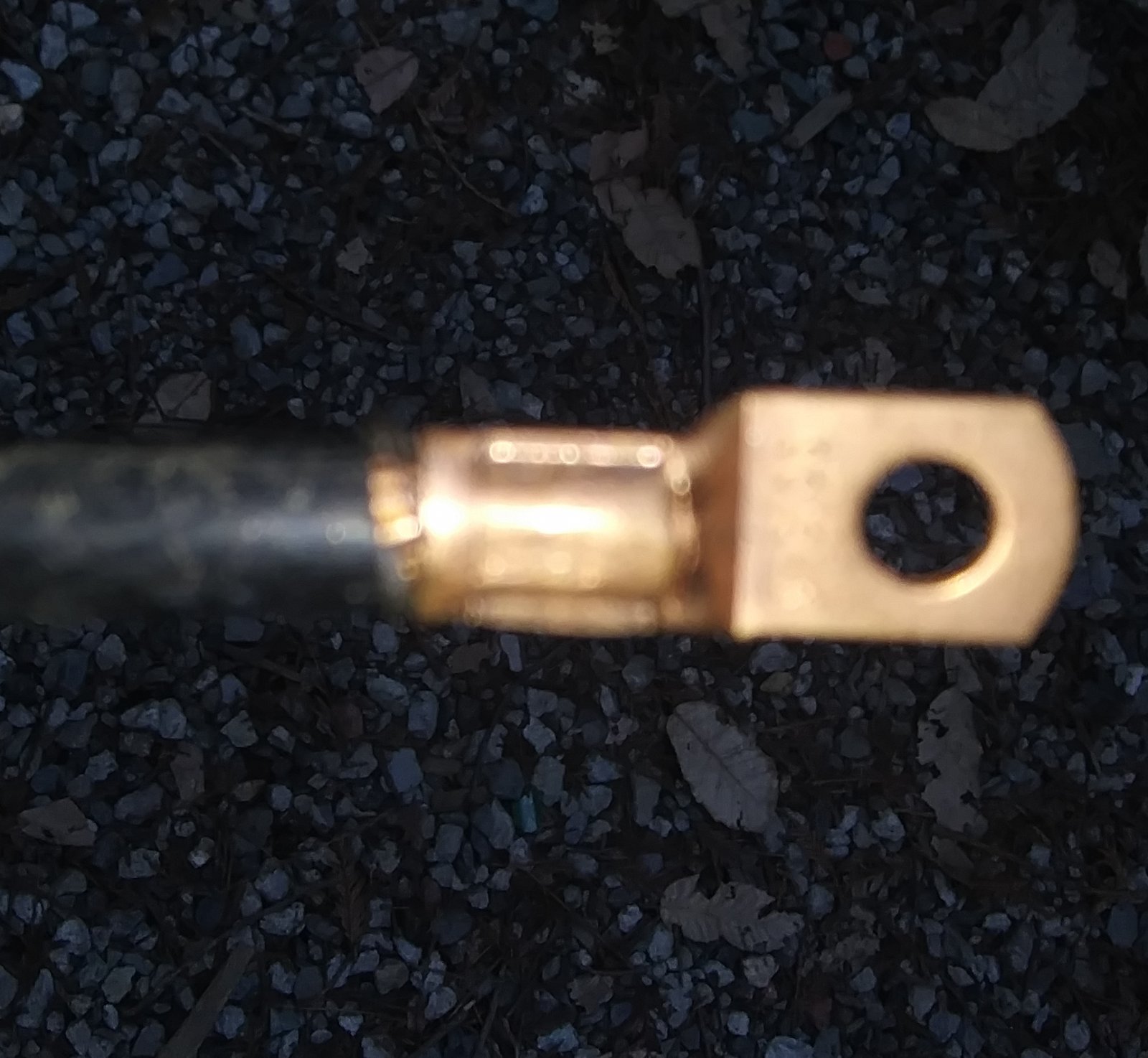 20220204_133139.jpg