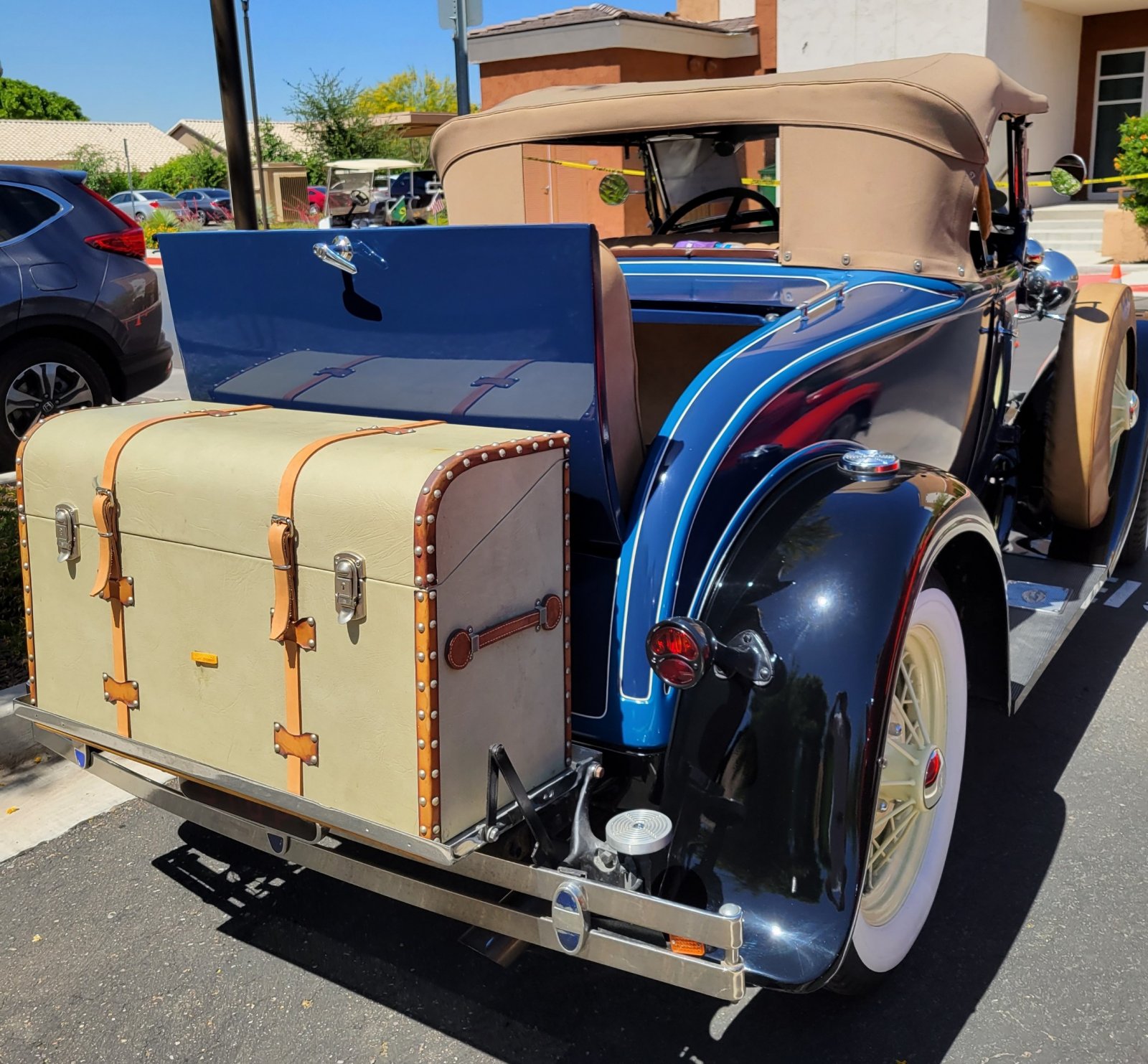 20220414_112813_resized[9027].jpg