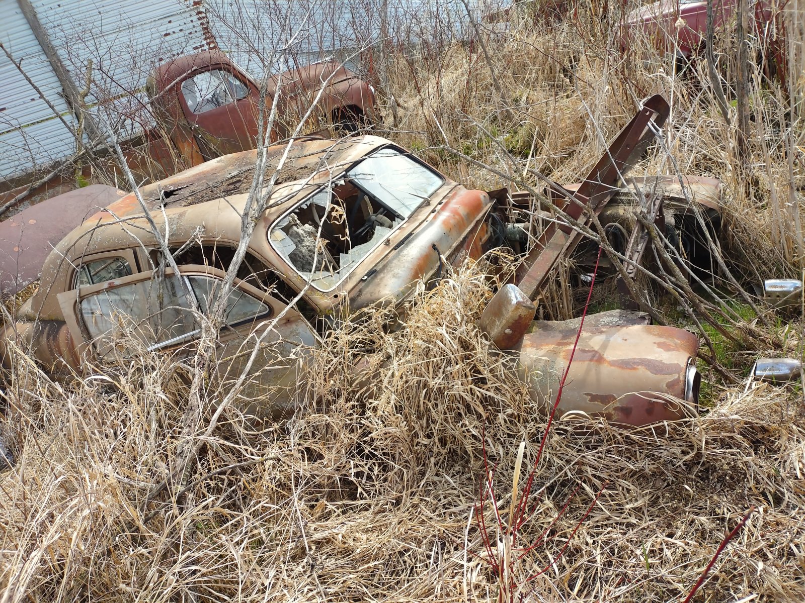 20220506_103514_HDR.jpg