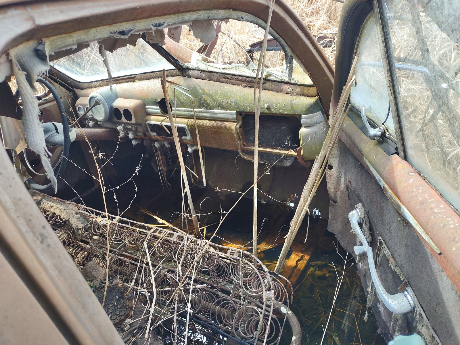 20220506_103540_HDR.jpg