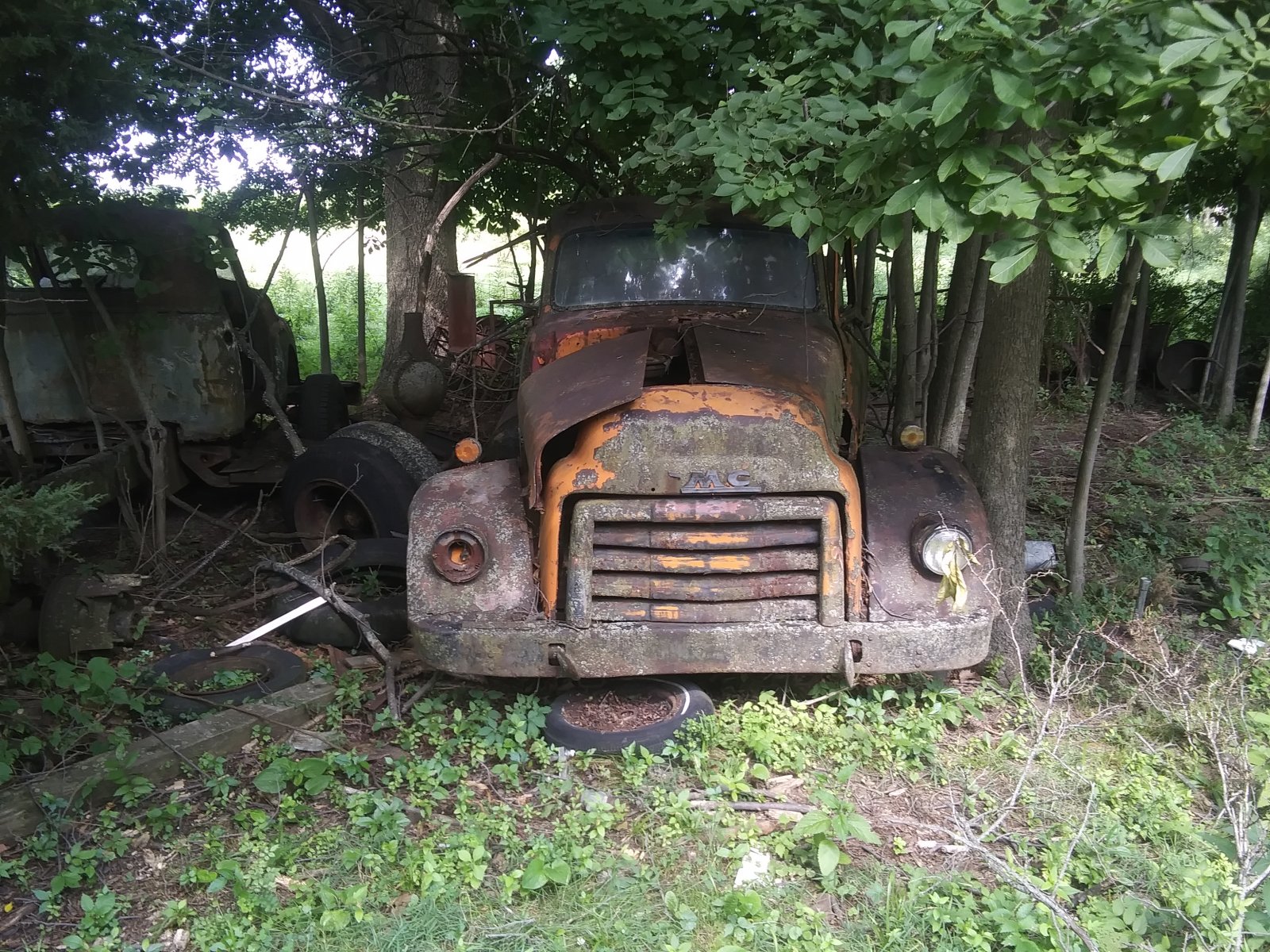 20220716_104542.jpg