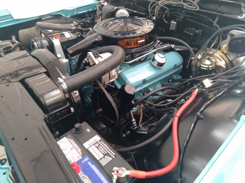20220812_102609 (800x600) (800x600).jpg