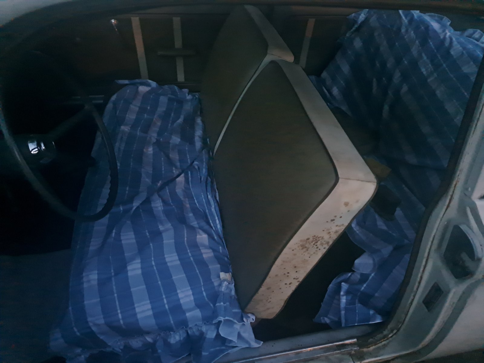 20220911_201120.jpg