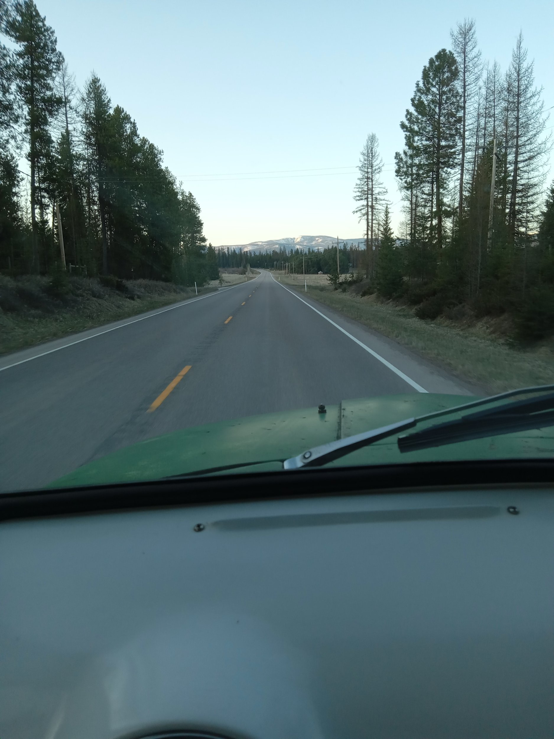 20250425_070419.jpg