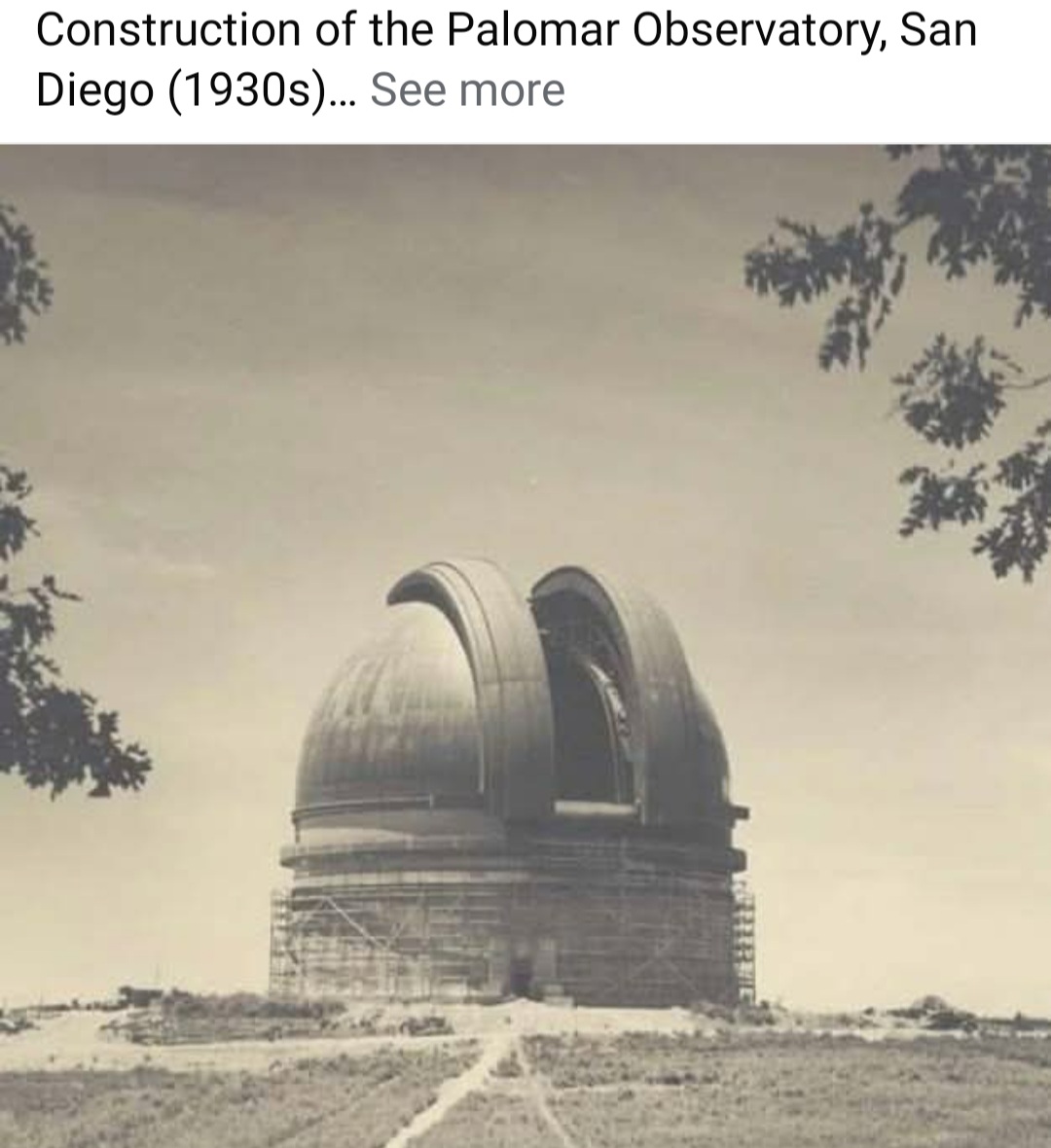 20250428_223721.jpg