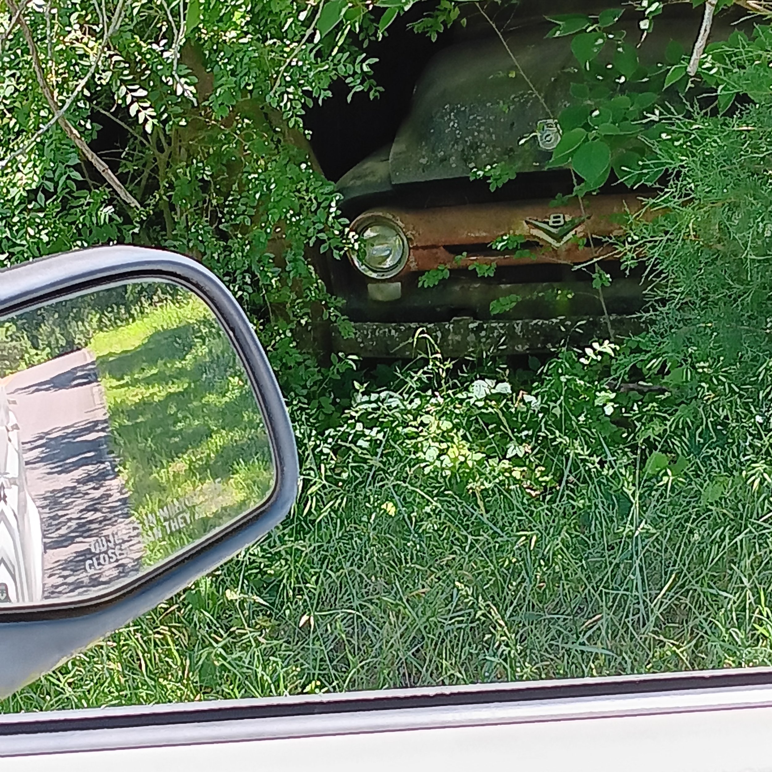 20250521_133607.jpg