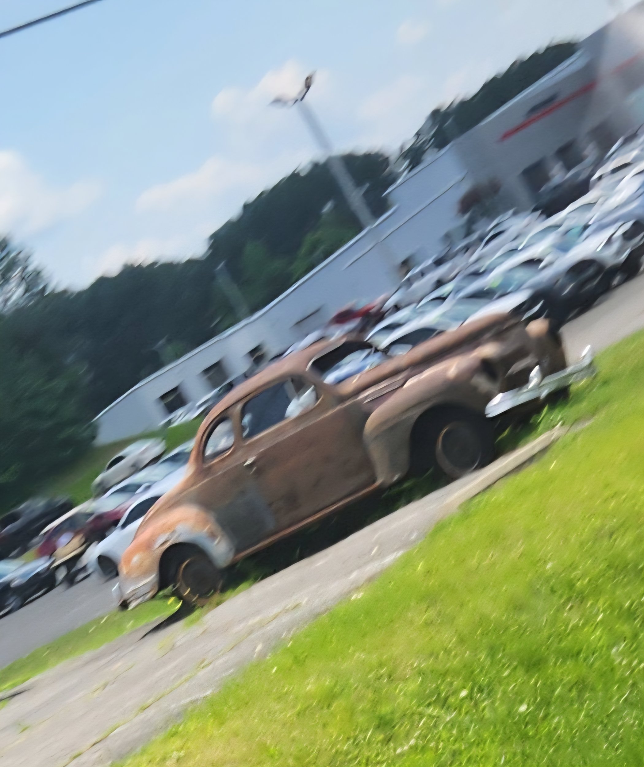 20250628_133434.jpg