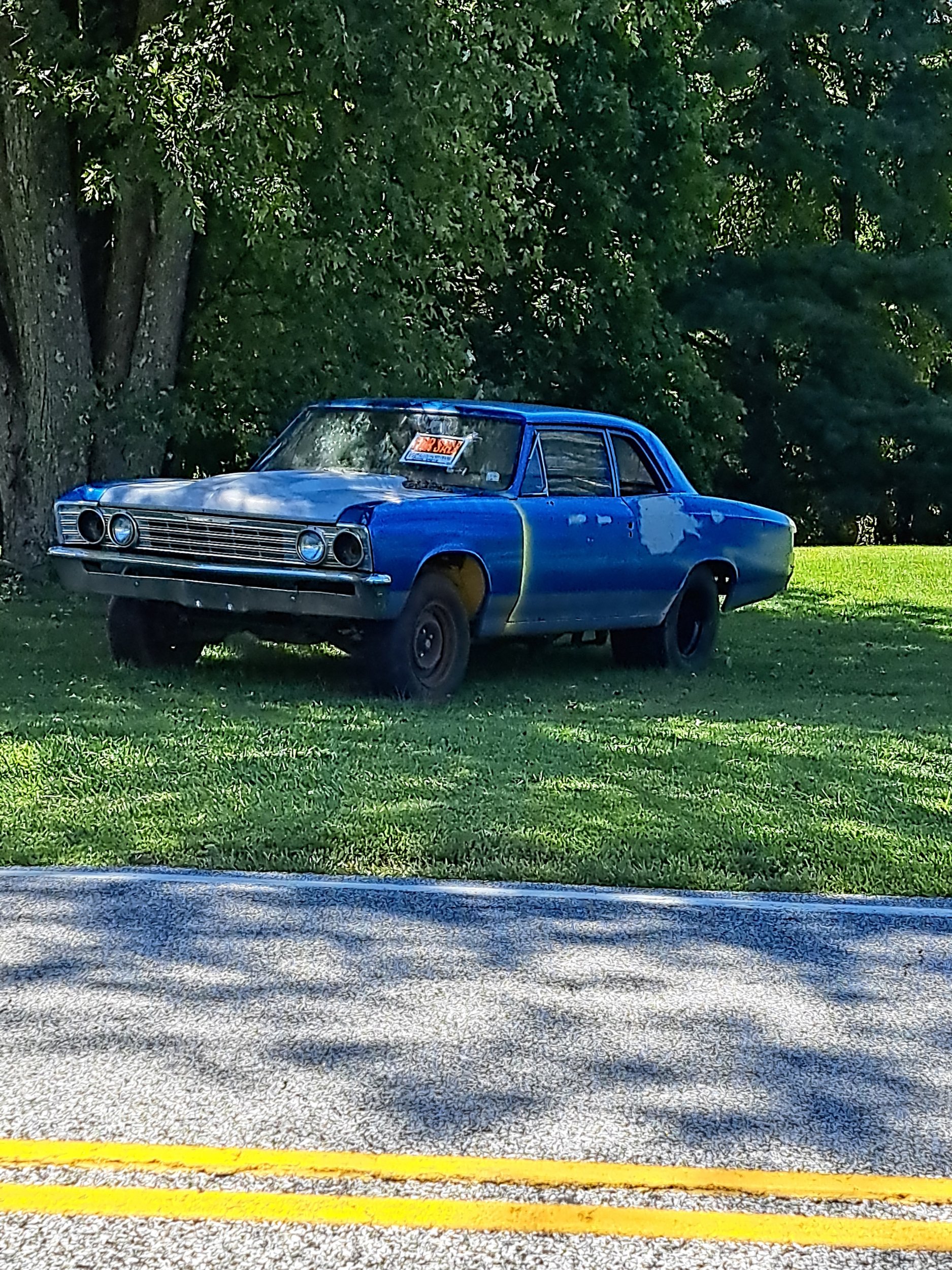 20250908_130413.jpg