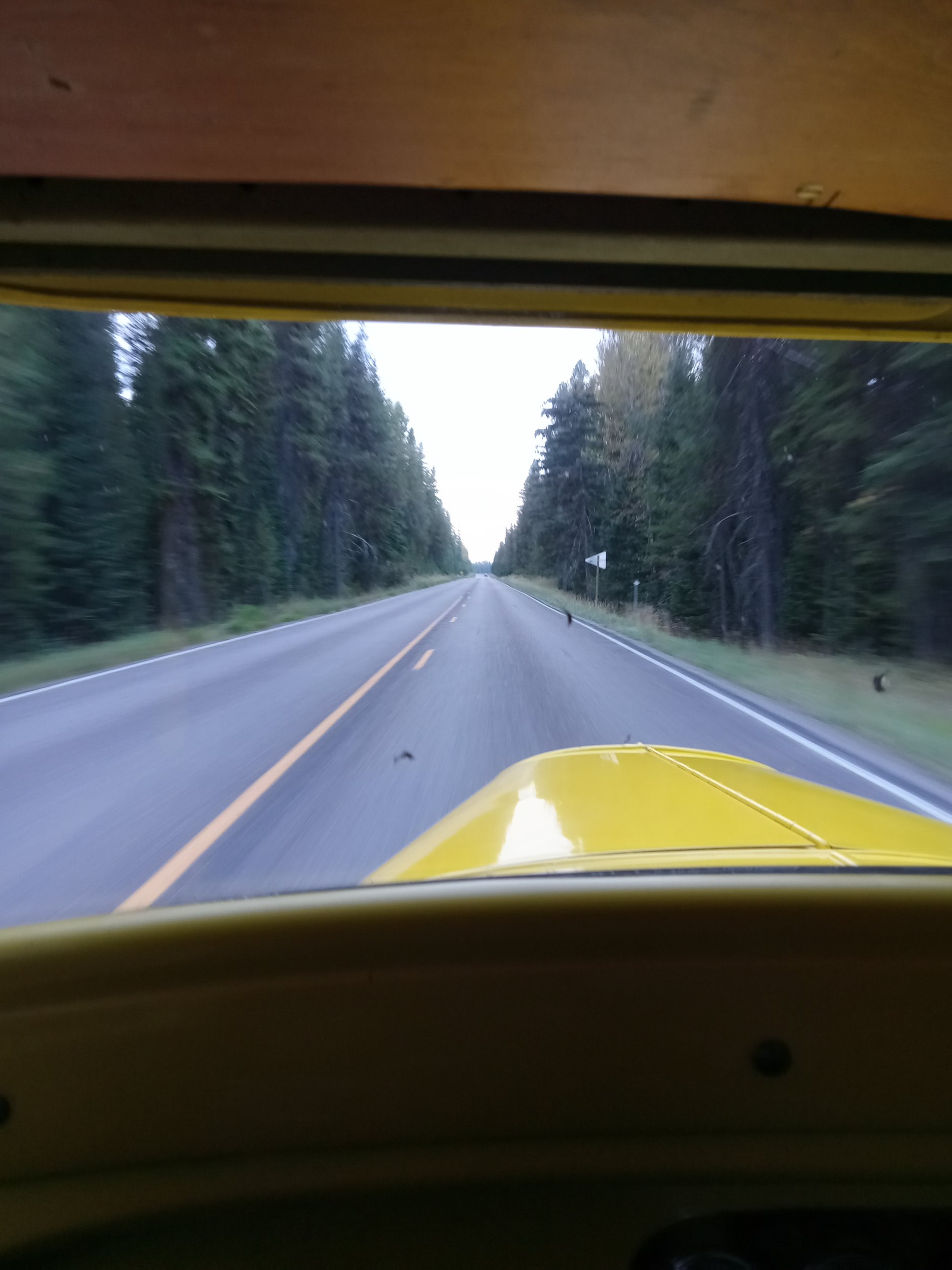 20250913_080228.jpg