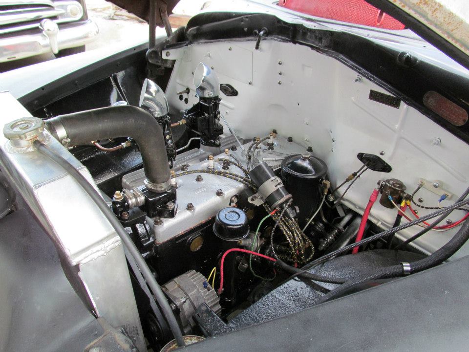 218 flathead.jpg