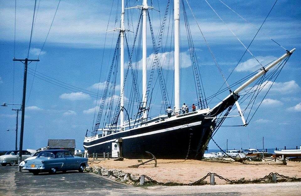 3 5 1.jpg