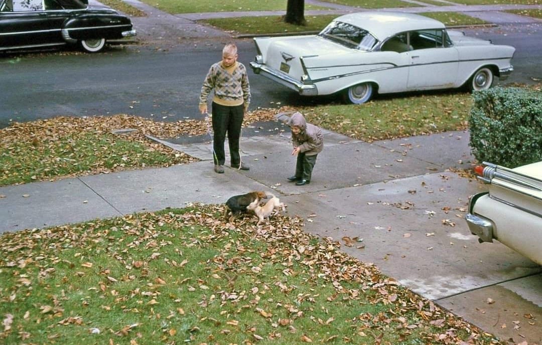 3 5 1.jpg