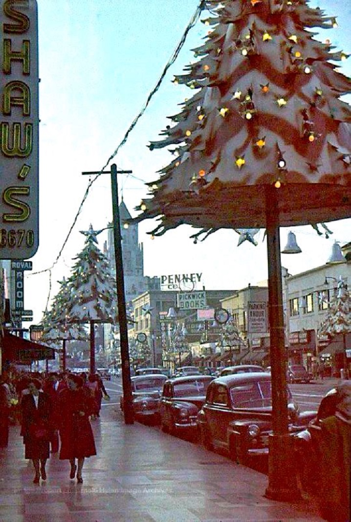 3 5 6.jpg