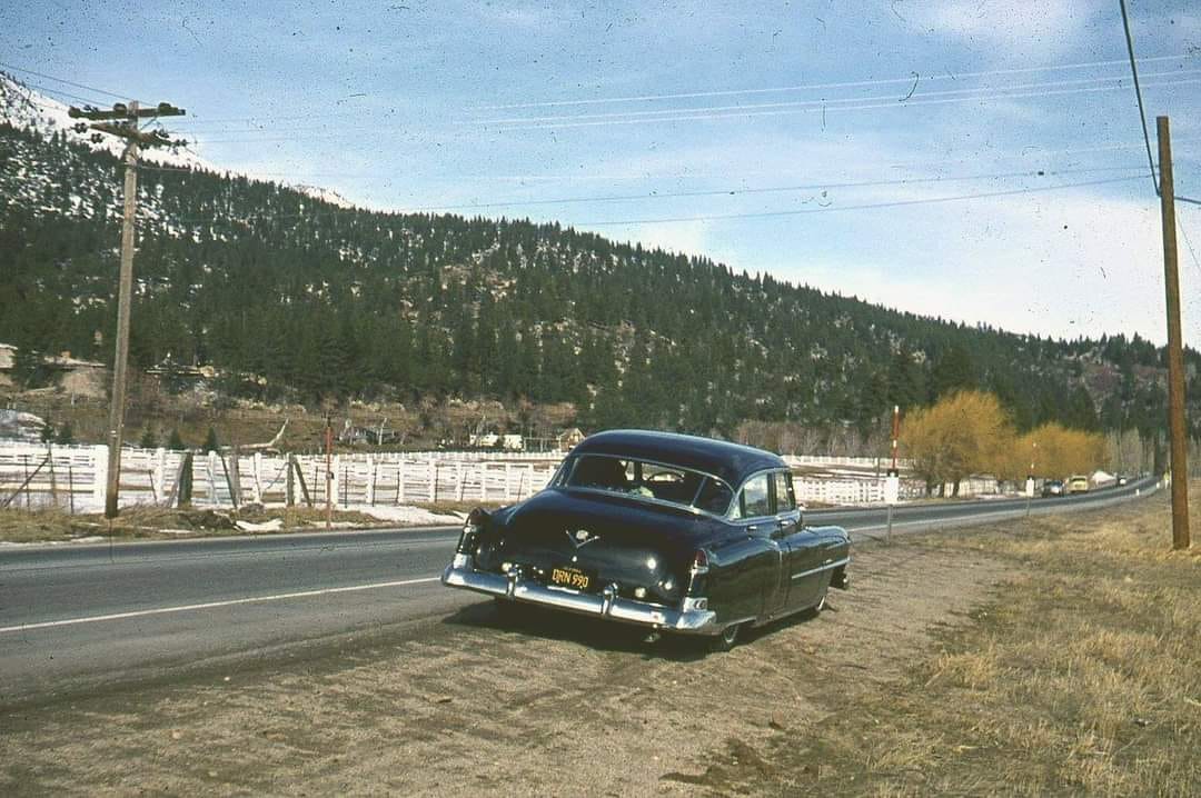 3 9 3.jpg