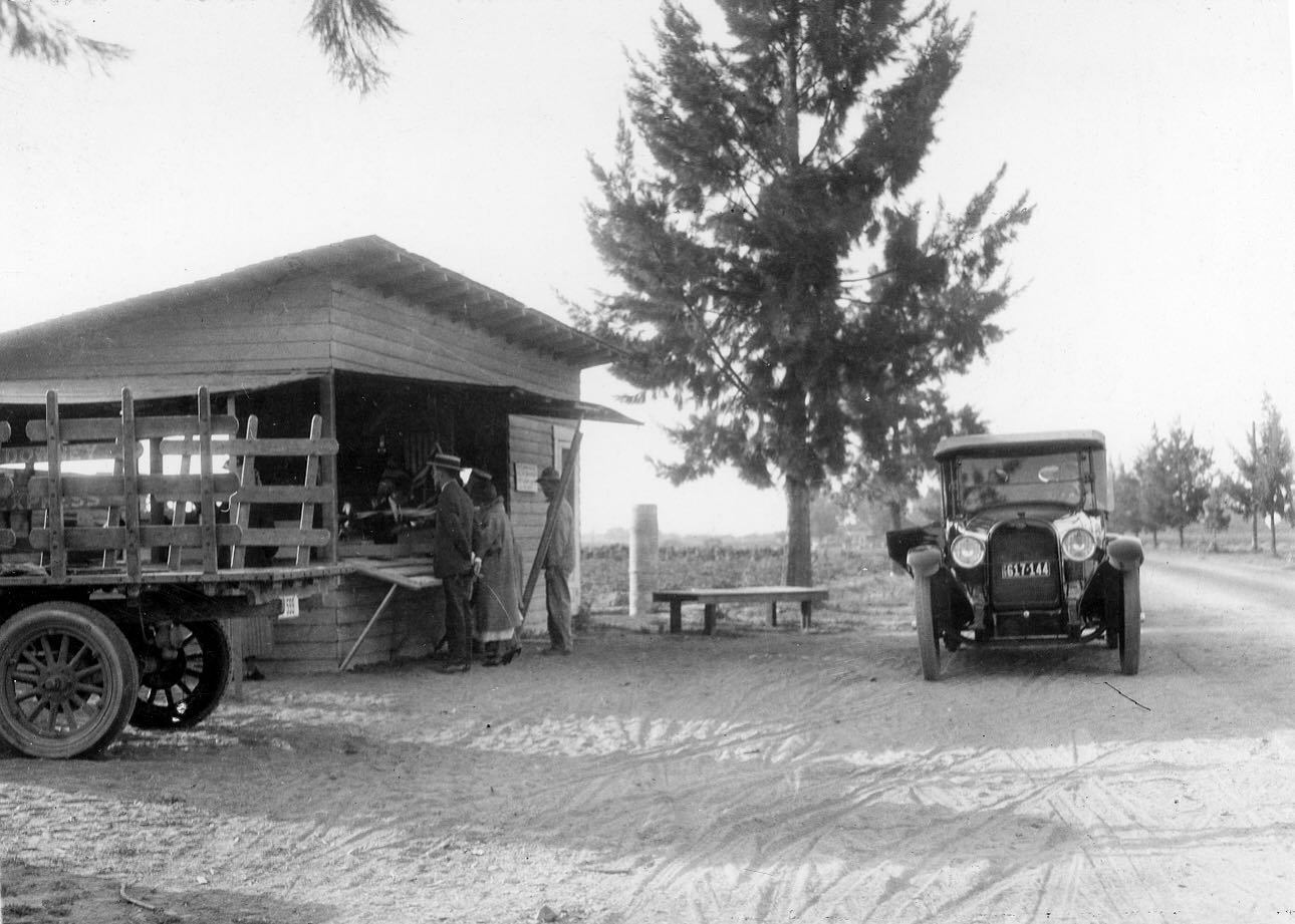 3 9 7 KNOTTS BERRY STAND 1926.jpg