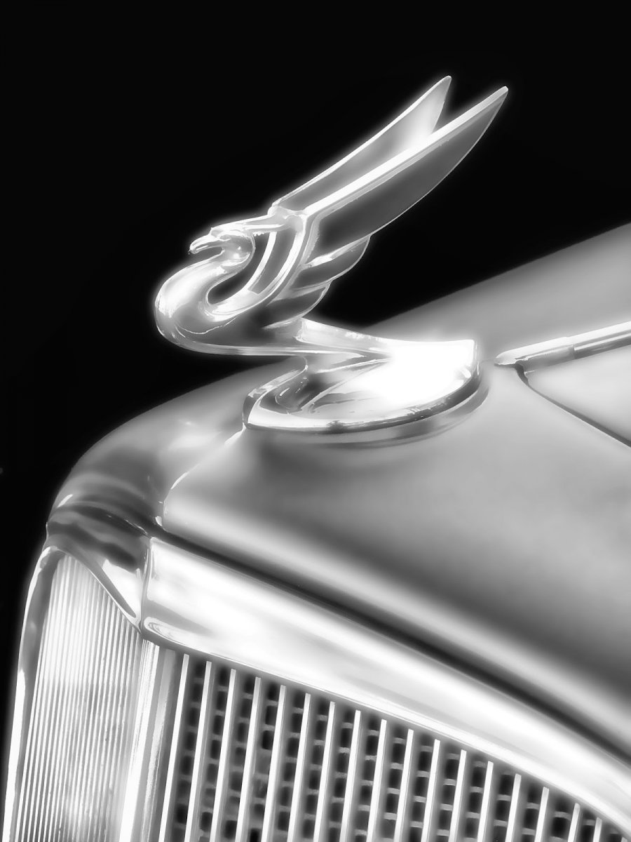 34ChevyHood1B&WTPA.jpg