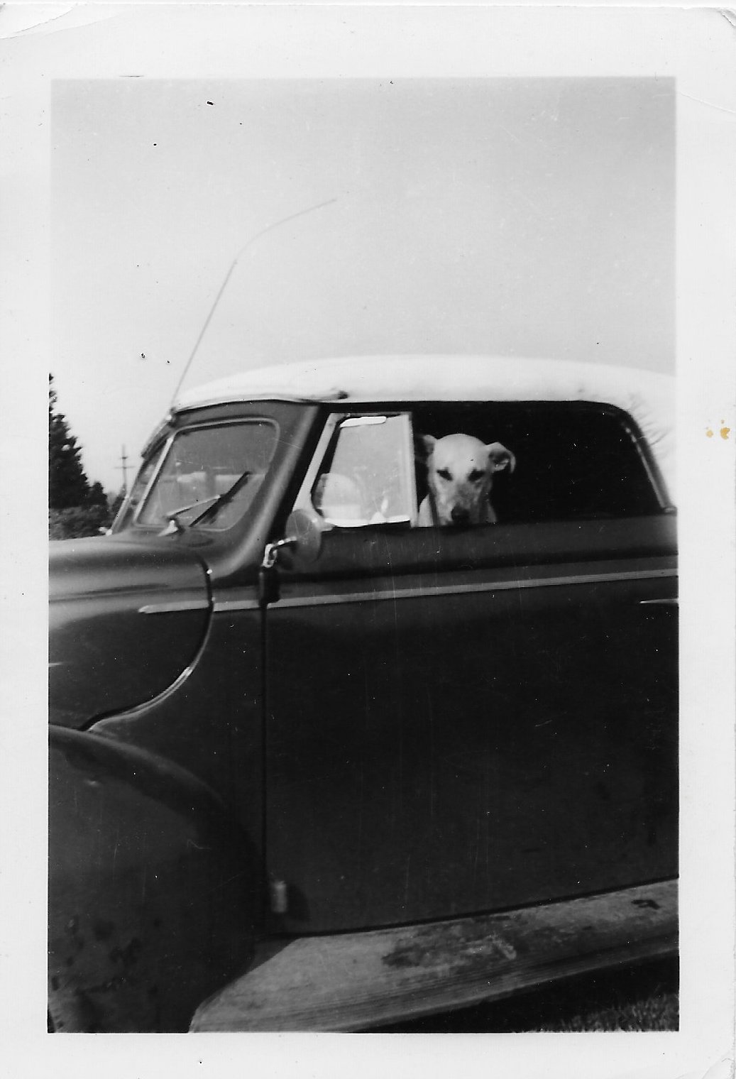 '40 convert.-2.JPG