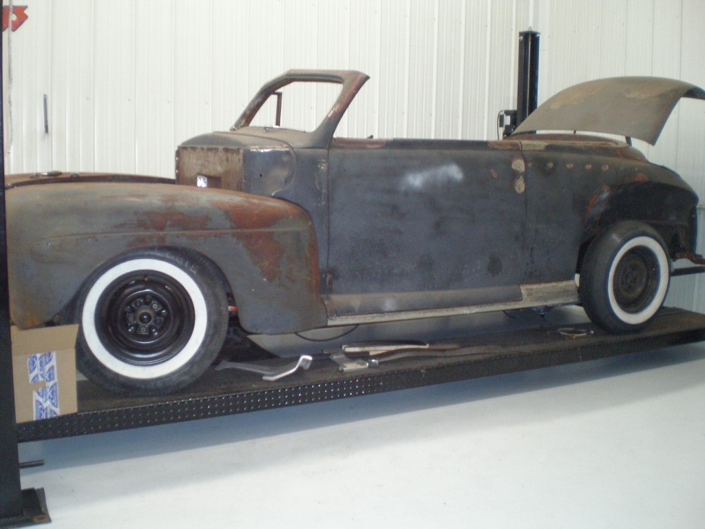 40 fenders  (Medium).jpeg