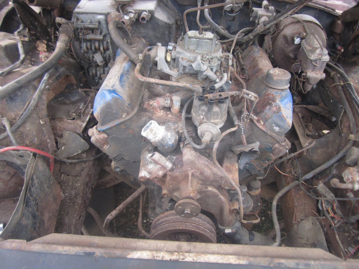 428 001.JPG