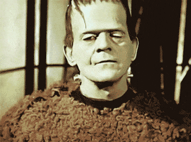 45819B19-5E7B-4D89-A39C-B5C8884B3FEB.gif