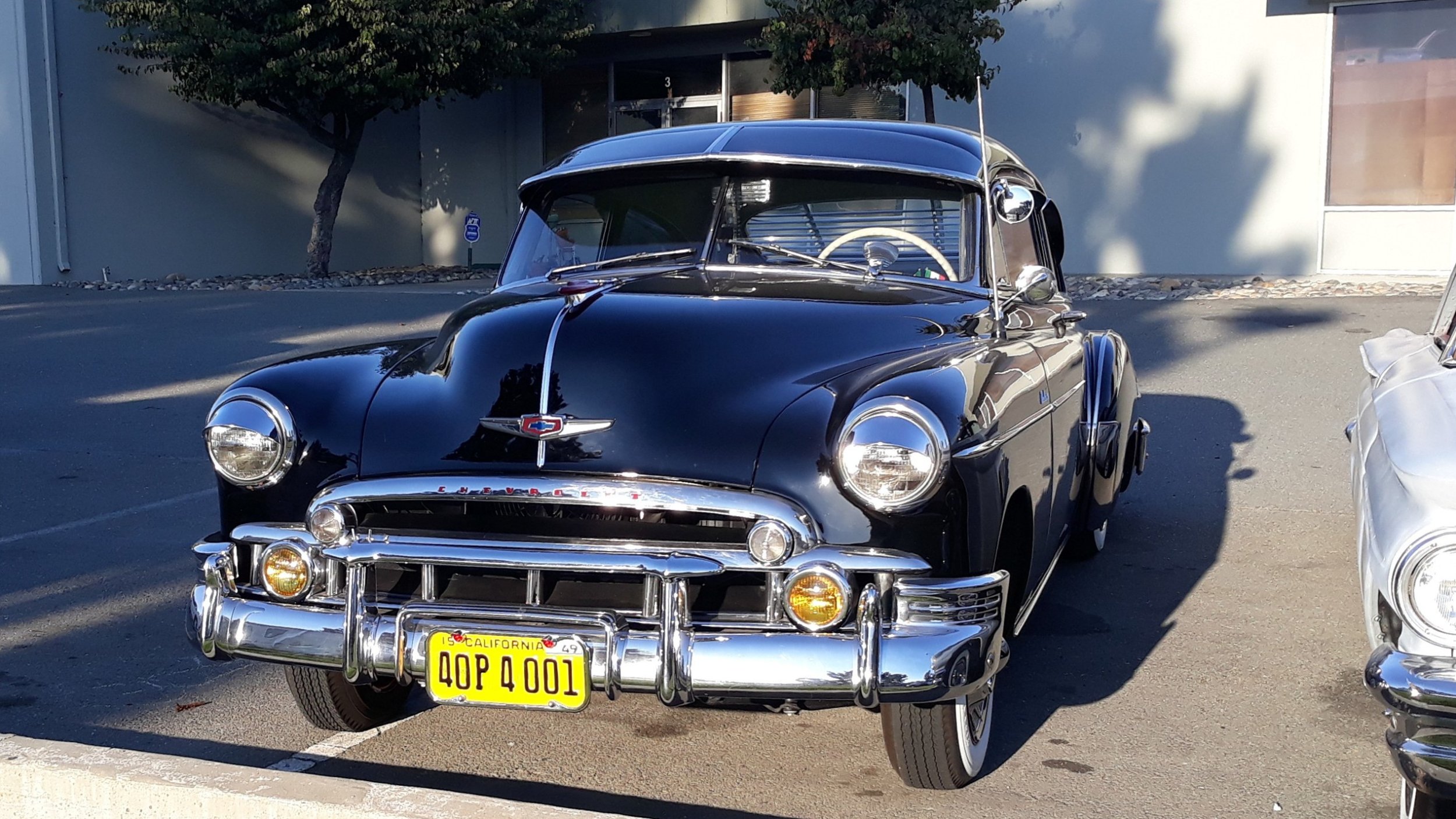 49 20 (2).jpg