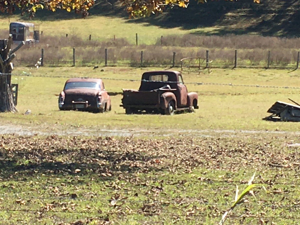 51 Mercury in field.JPG