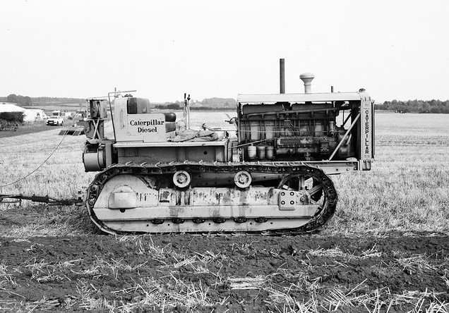 54597715539_7a126e1ea0_c.jpg