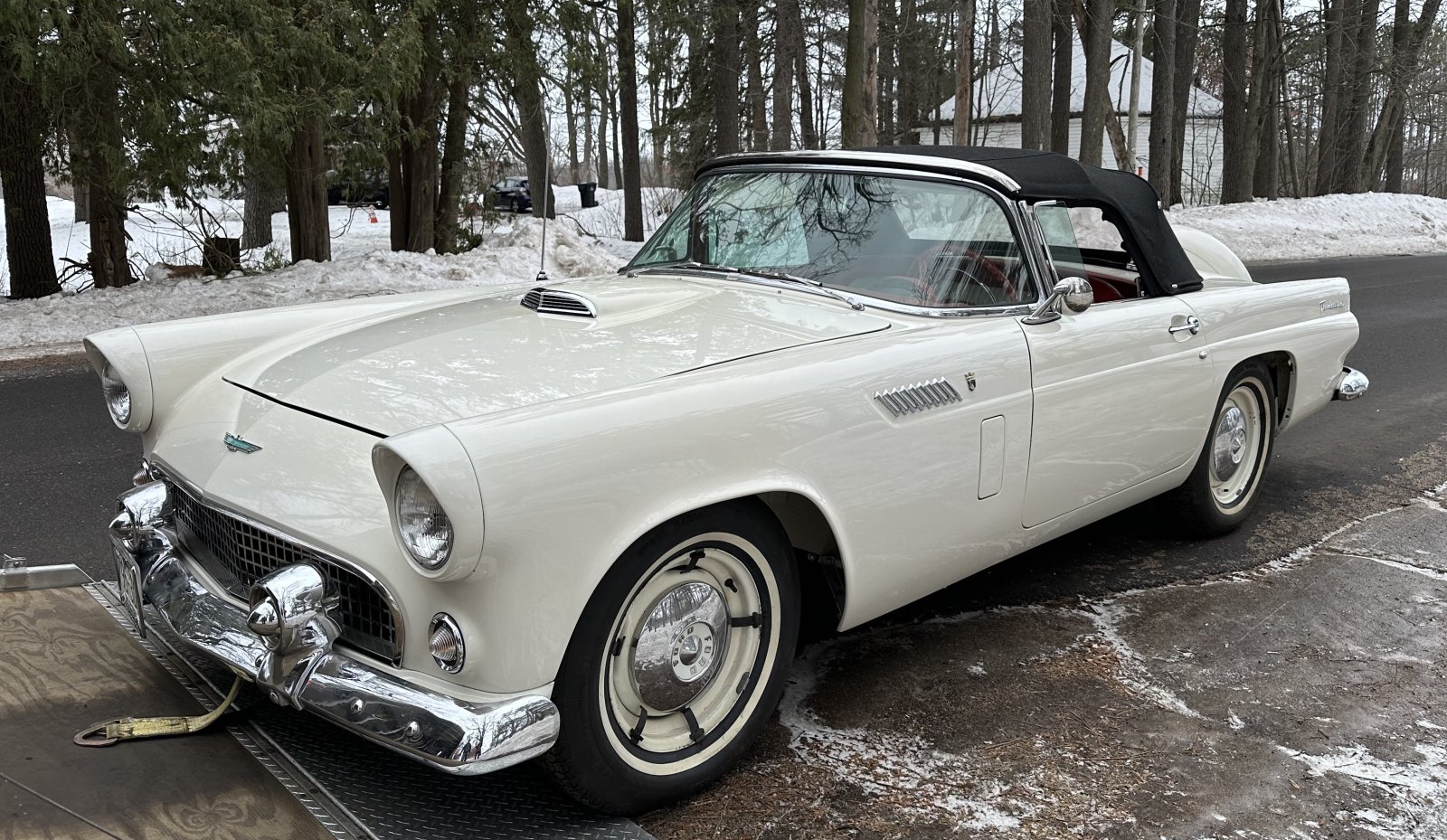 56 T-Bird LF.jpg