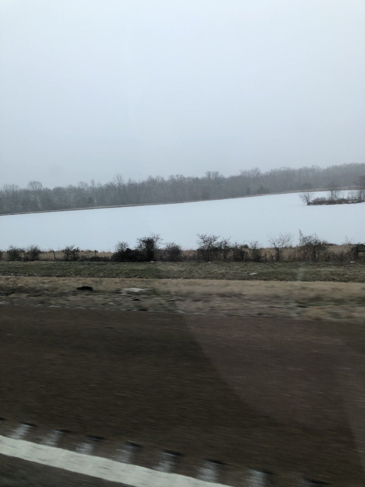 56010B41-C203-4E0A-8215-C0F148E99A15.jpeg