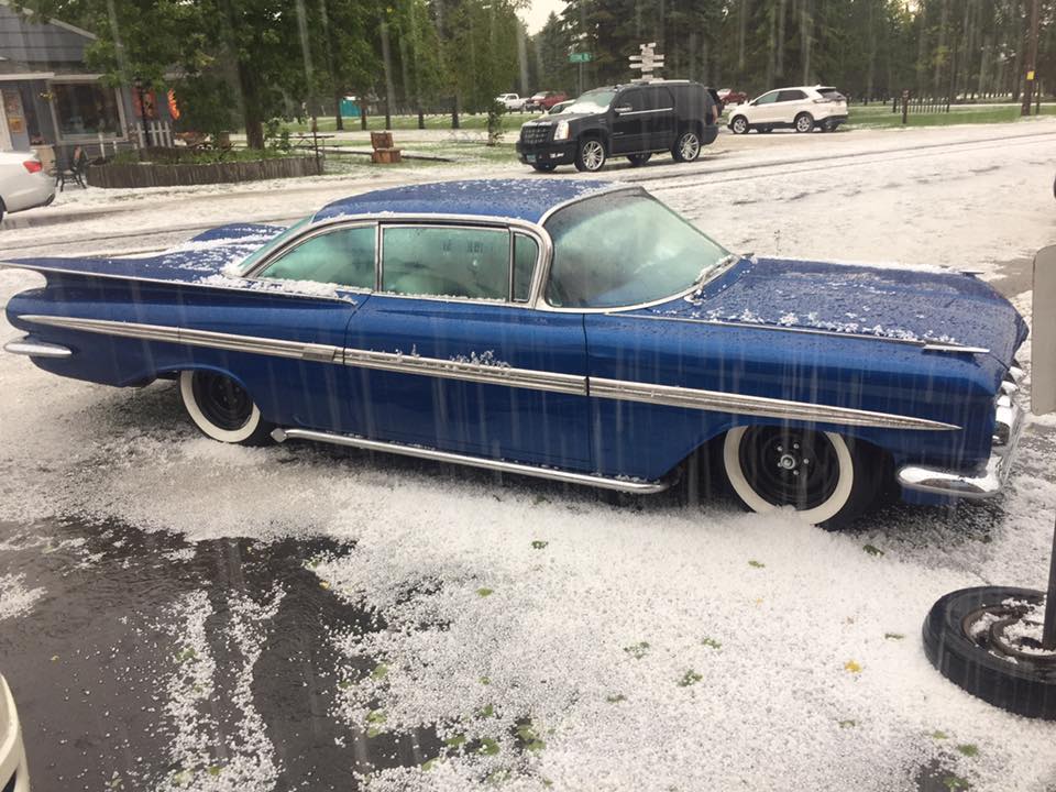 59 Impala in snow Myron.jpg