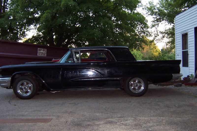 59BirdSide.jpg